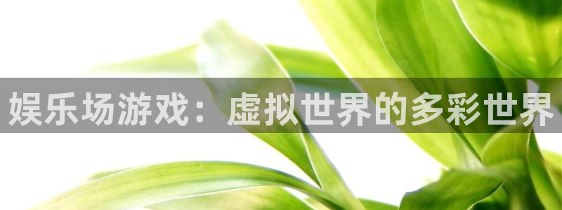 天辰娱乐登录：娱乐场游戏：虚拟世界的多彩世界