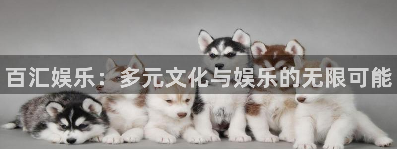 天辰娱乐下载：百汇娱乐：多元文化与娱乐的无限可能