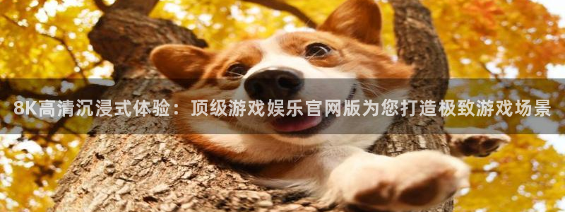 天辰娱乐：8K高清沉浸式体验：顶级游戏娱乐官网版为您打造极致游戏场景