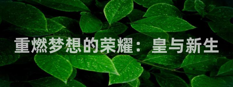 天辰娱乐下载：重燃梦想的荣耀：皇与新生