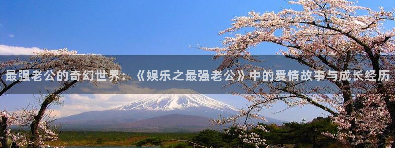 天辰娱乐注册：最强老公的奇幻世界：《娱乐之最强老公》中的爱情故事与成长经历