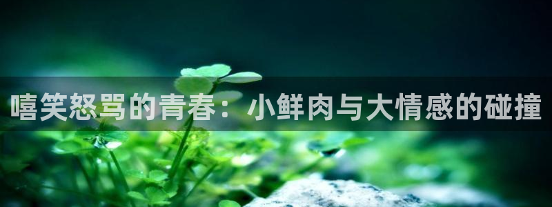 upload/20250701114914.jpg