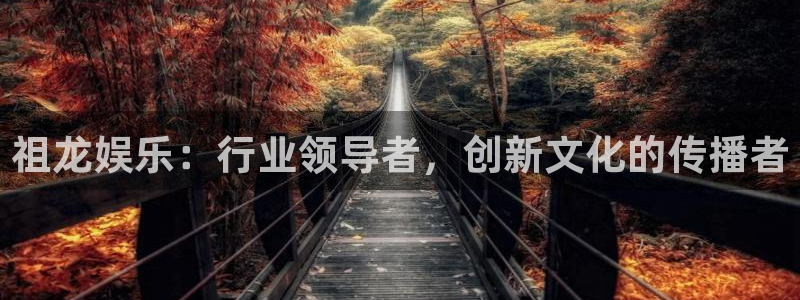 天辰娱乐：祖龙娱乐：行业领导者，创新文化的传播者
