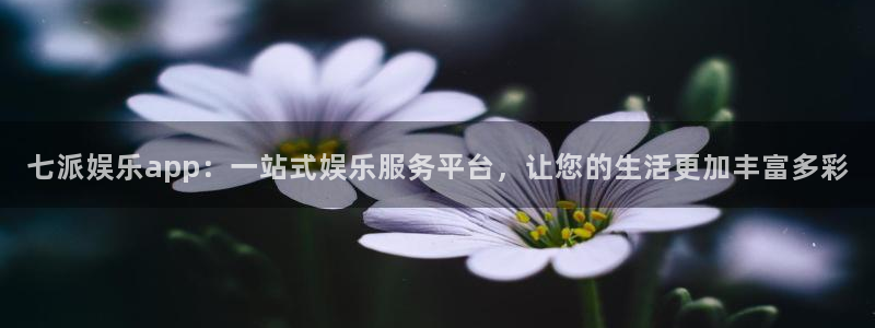 天辰平台：七派娱乐app：一站式娱乐服务平台，让您的生活更加丰富多彩